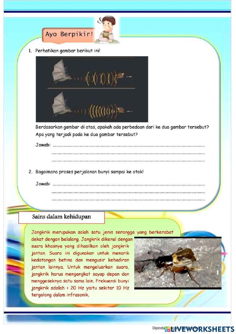 -Sistem Pendengaran-