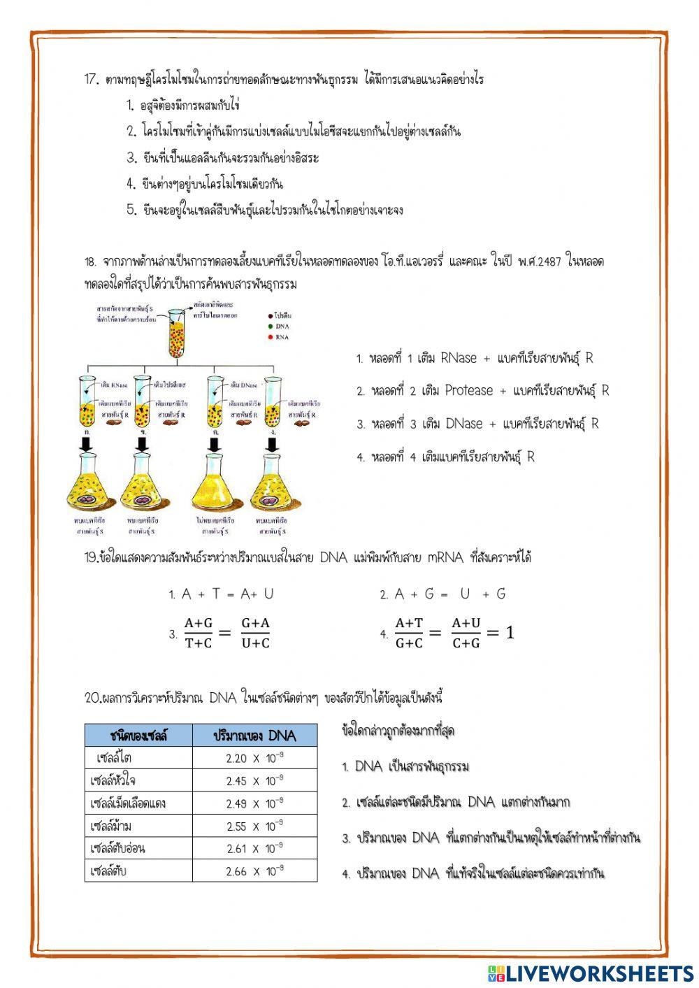 ข้อสอบกลางภาค