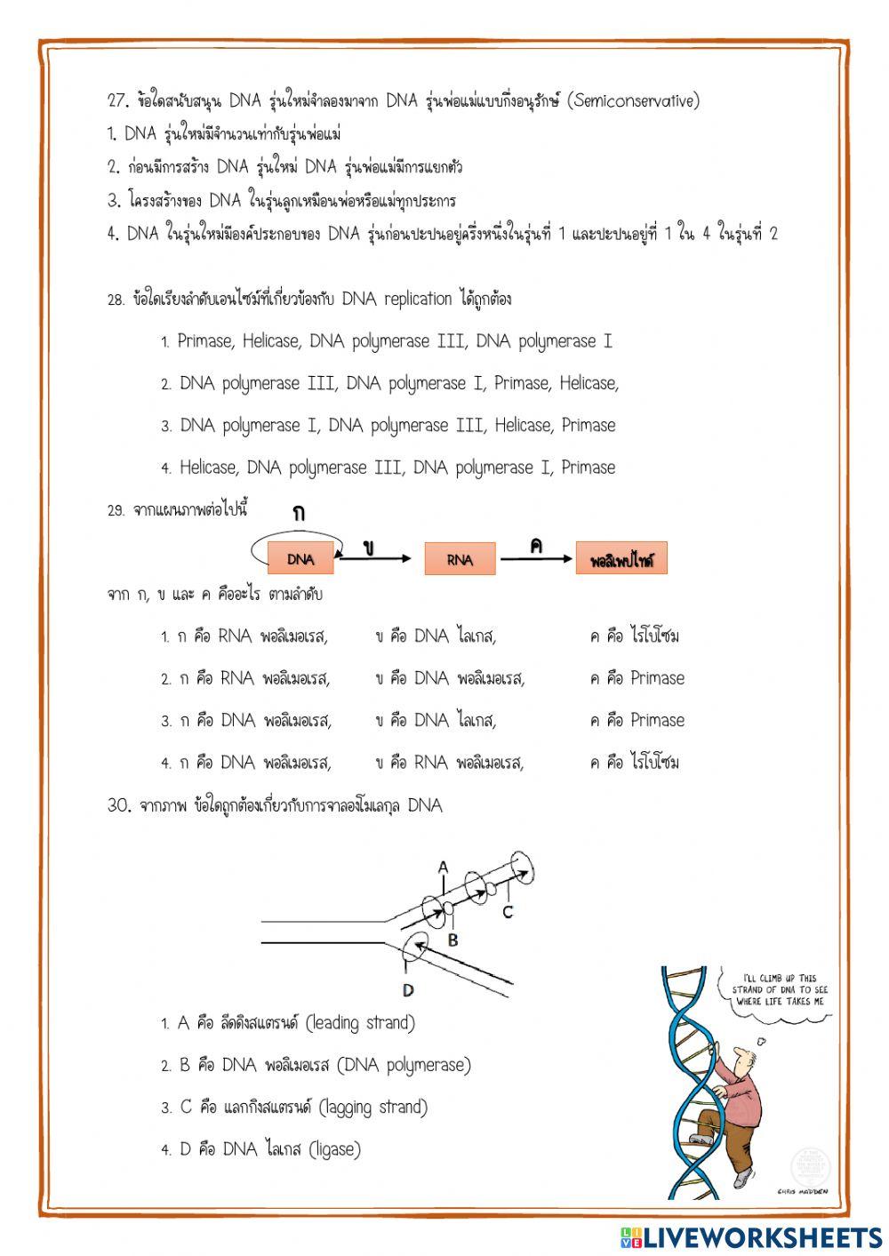 ข้อสอบกลางภาค ม.5