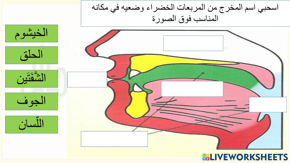 مخارج الحروف