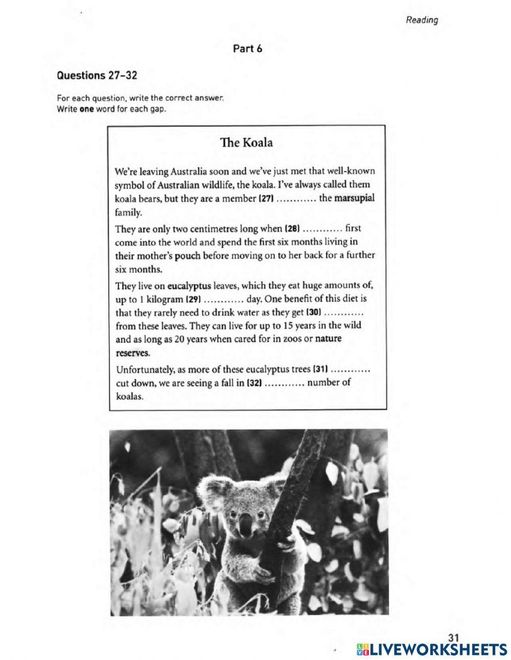 29.12.21-PET-practice (Part 2)