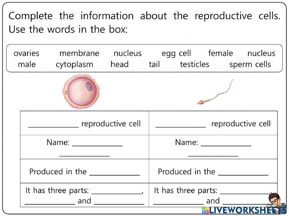 Reproduction Worksheets 1-5