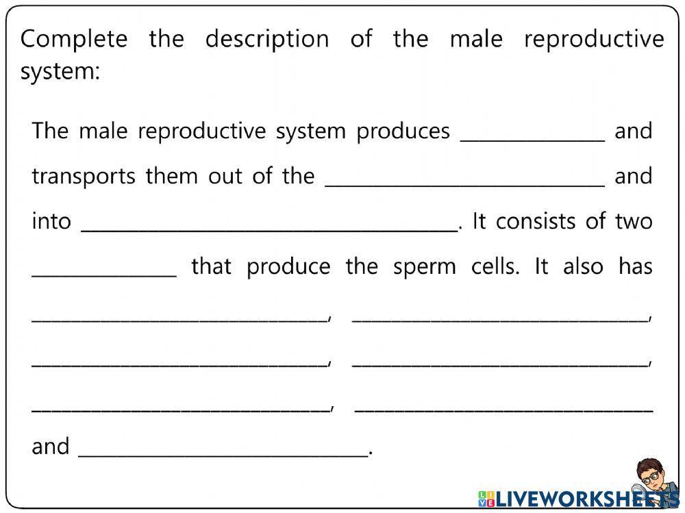 Reproduction Worksheets 6-11