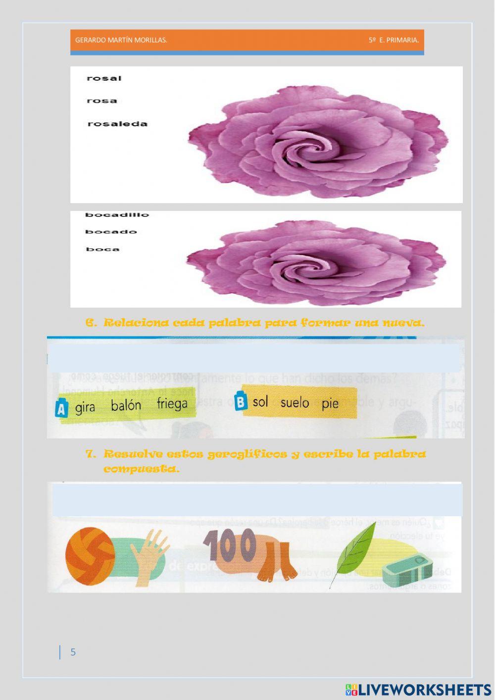 Taller de vocabulario. Ficha 5.