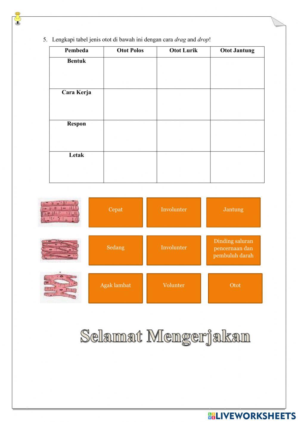 Lembar Kerja Sistem Gerak