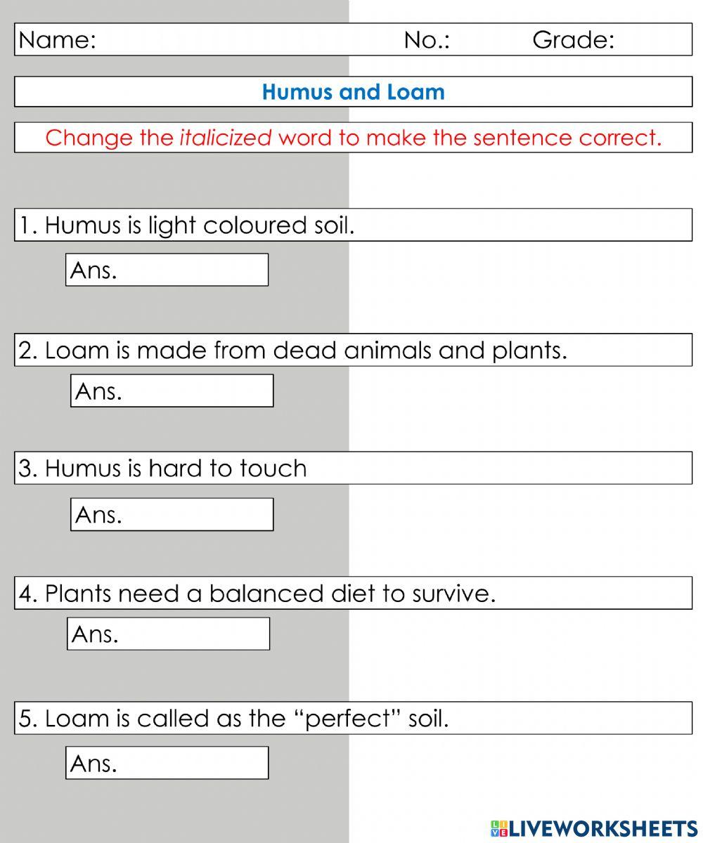 Humus and Loam Jan5124 Live Worksheets