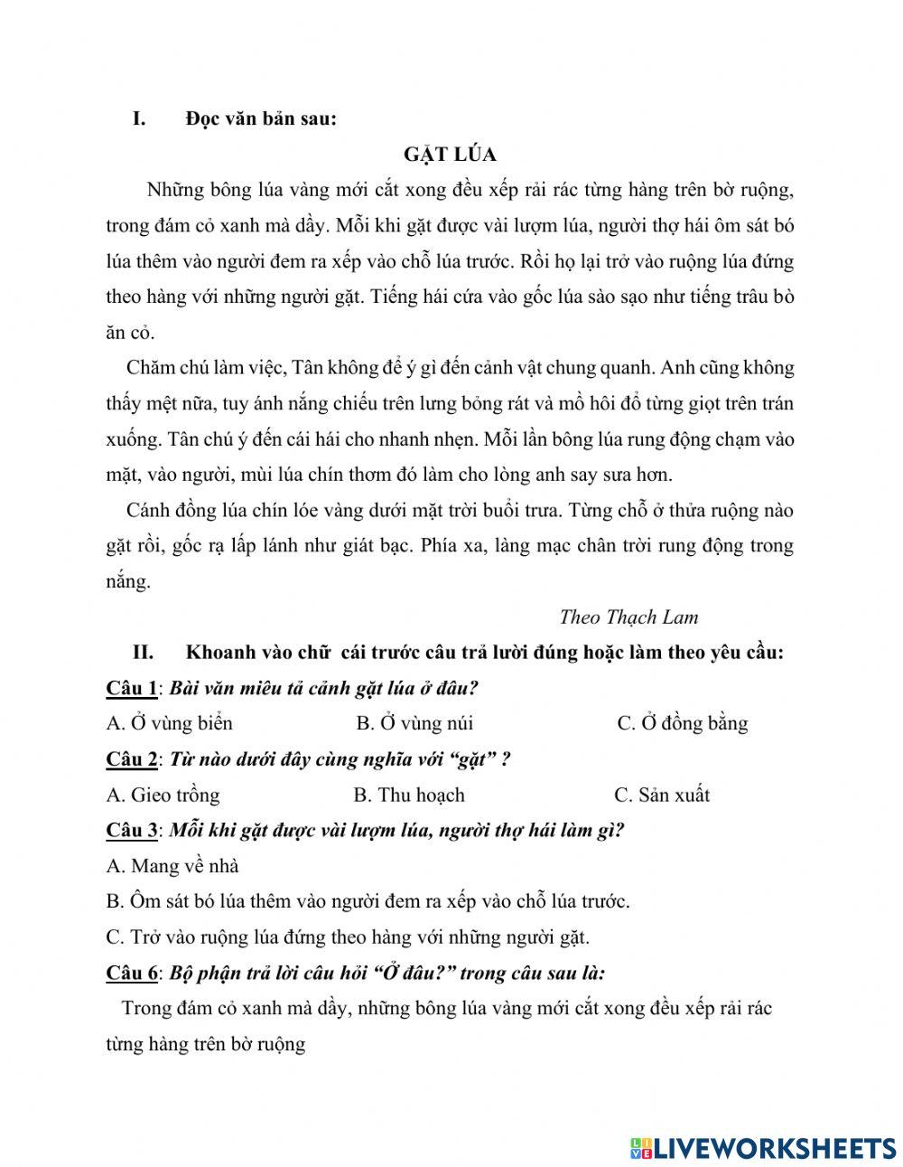 Phiếu Tiếng Việt ôn cuối kì I số 1