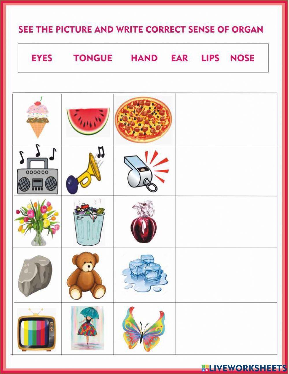 2nd class SCIENCE PAPER