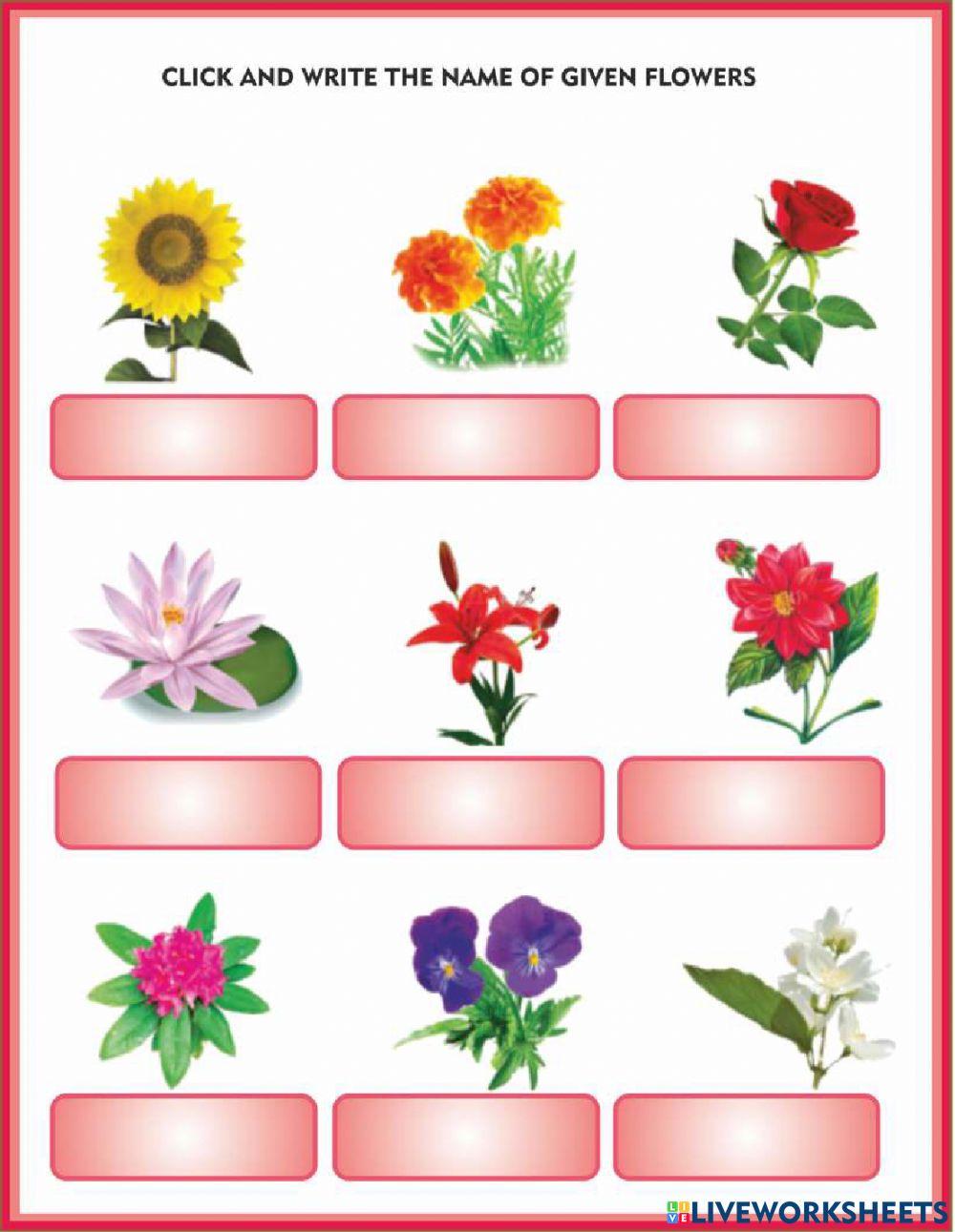 2nd class SCIENCE PAPER