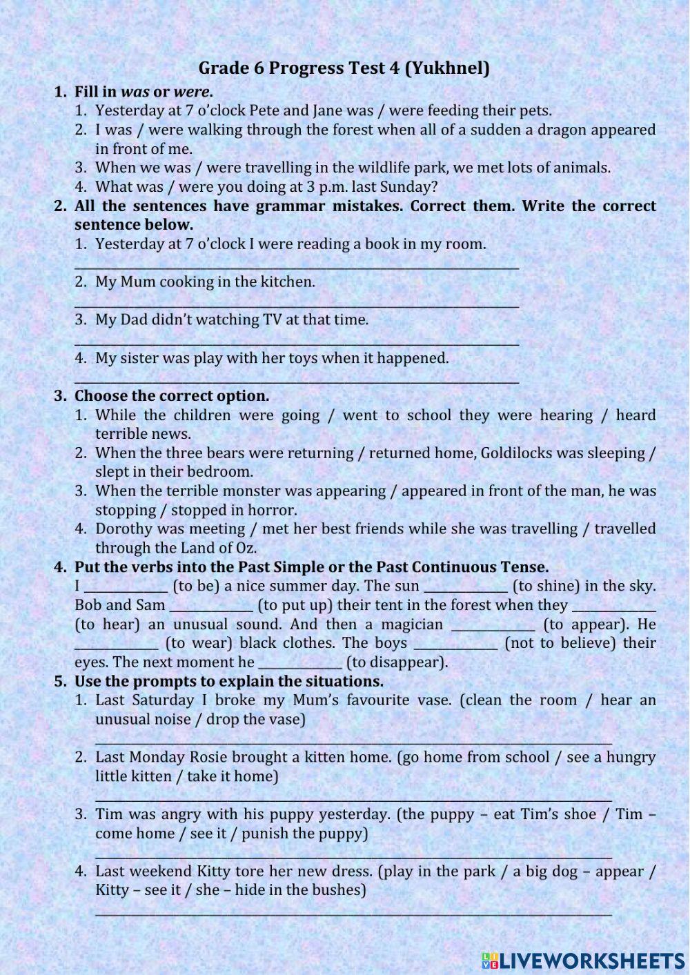 Grade 6 Progress Tes 4