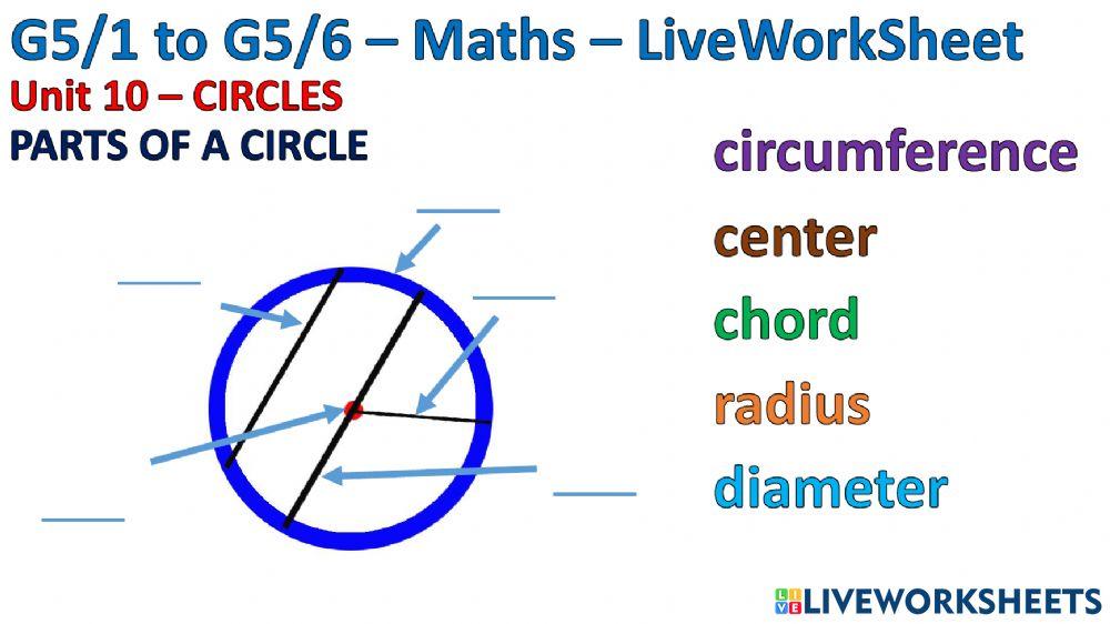 G5 circle online exercise for live worksheets
