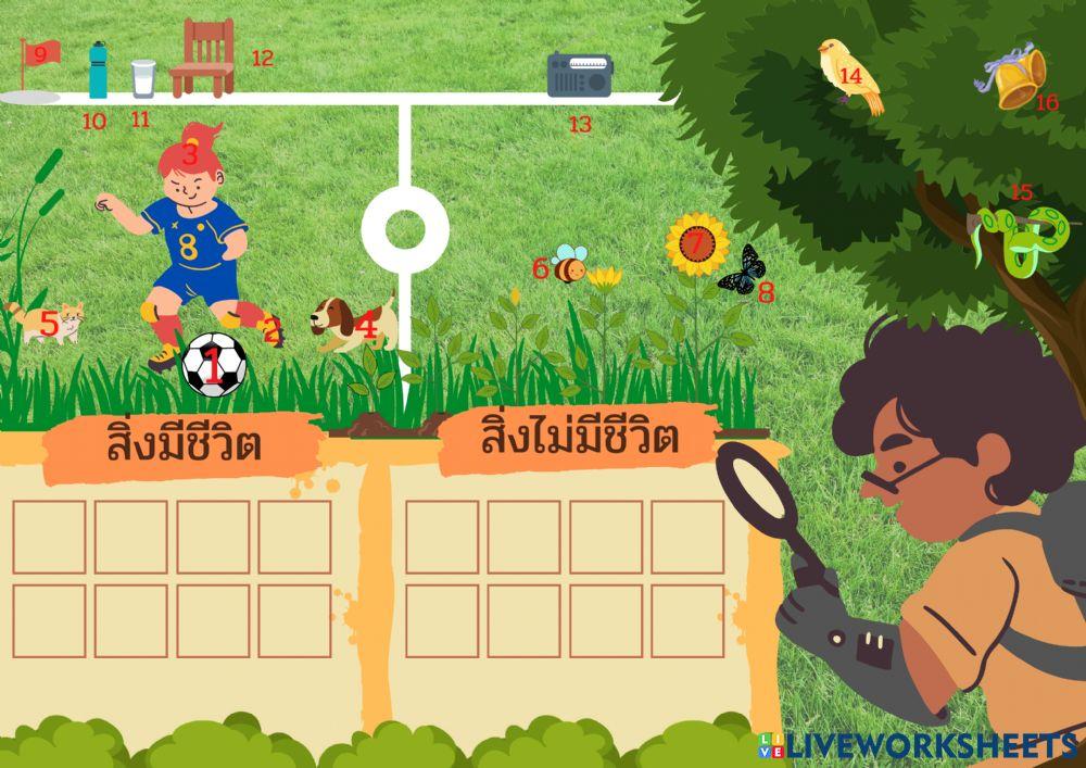 ป.2 สนามบอล สิ่งมีชีวิตและสิ่งไม่มีชีวิต