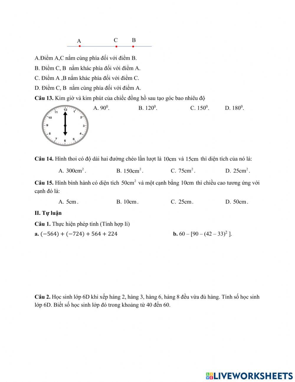 Ôn tập hk1 lớp 6
