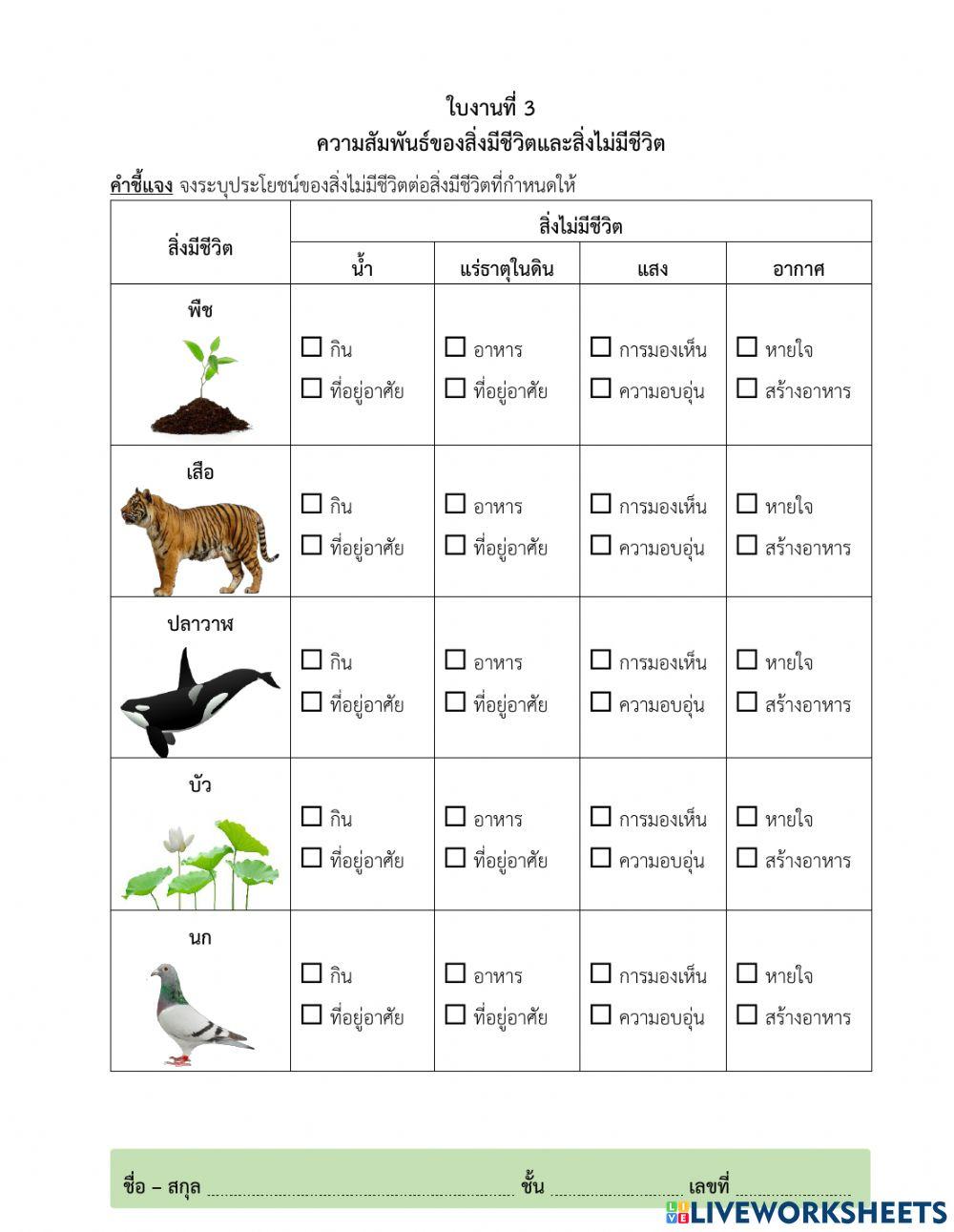 ความสัมพันธ์ของสิ่งมีชีวิตกับสิ่งไม่มีชีวิต