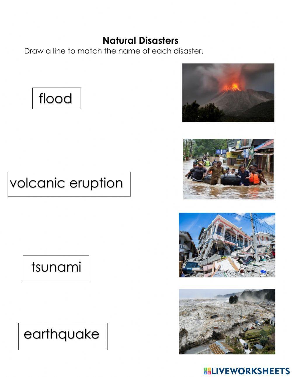 4262620 natural disaster exercises teachergrace07