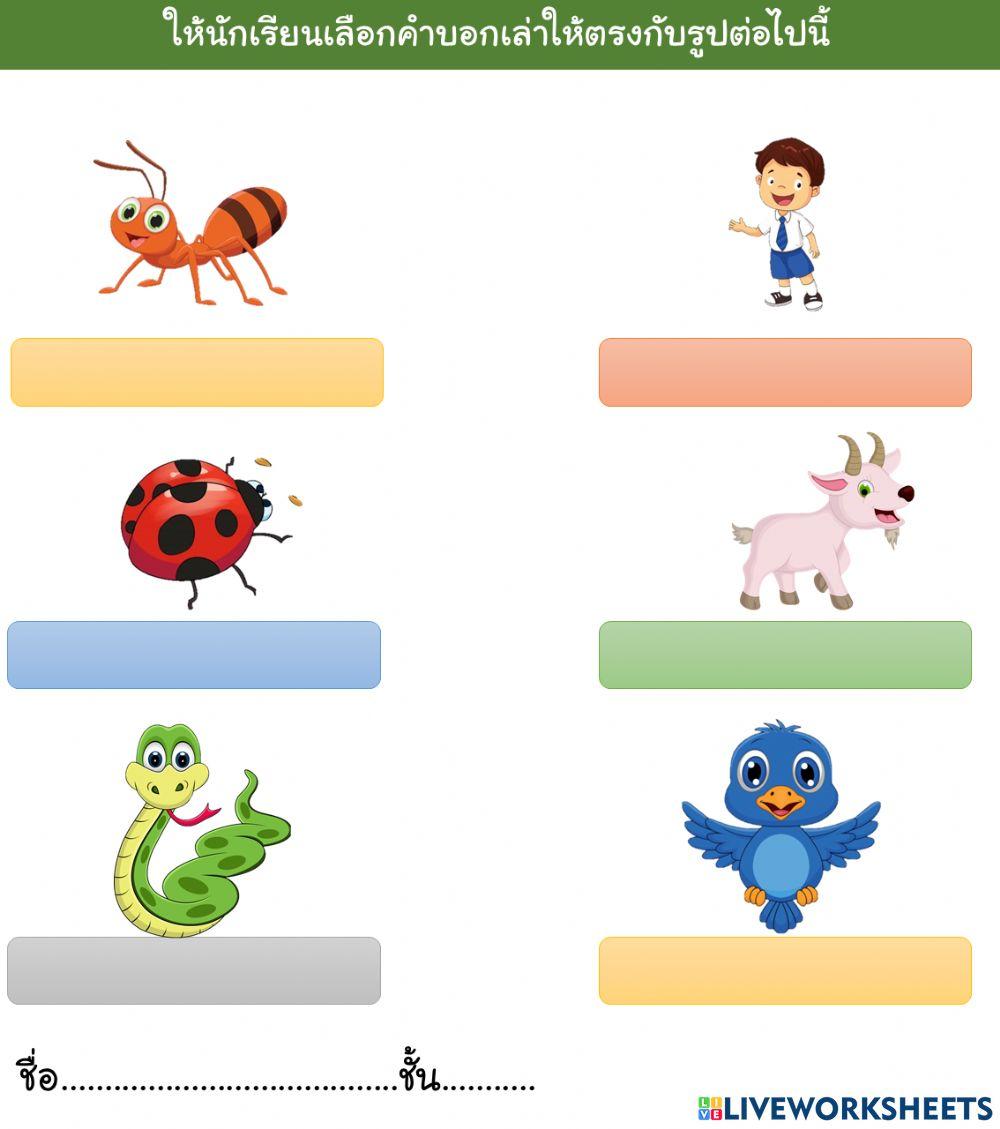 การแก้ปัญหา