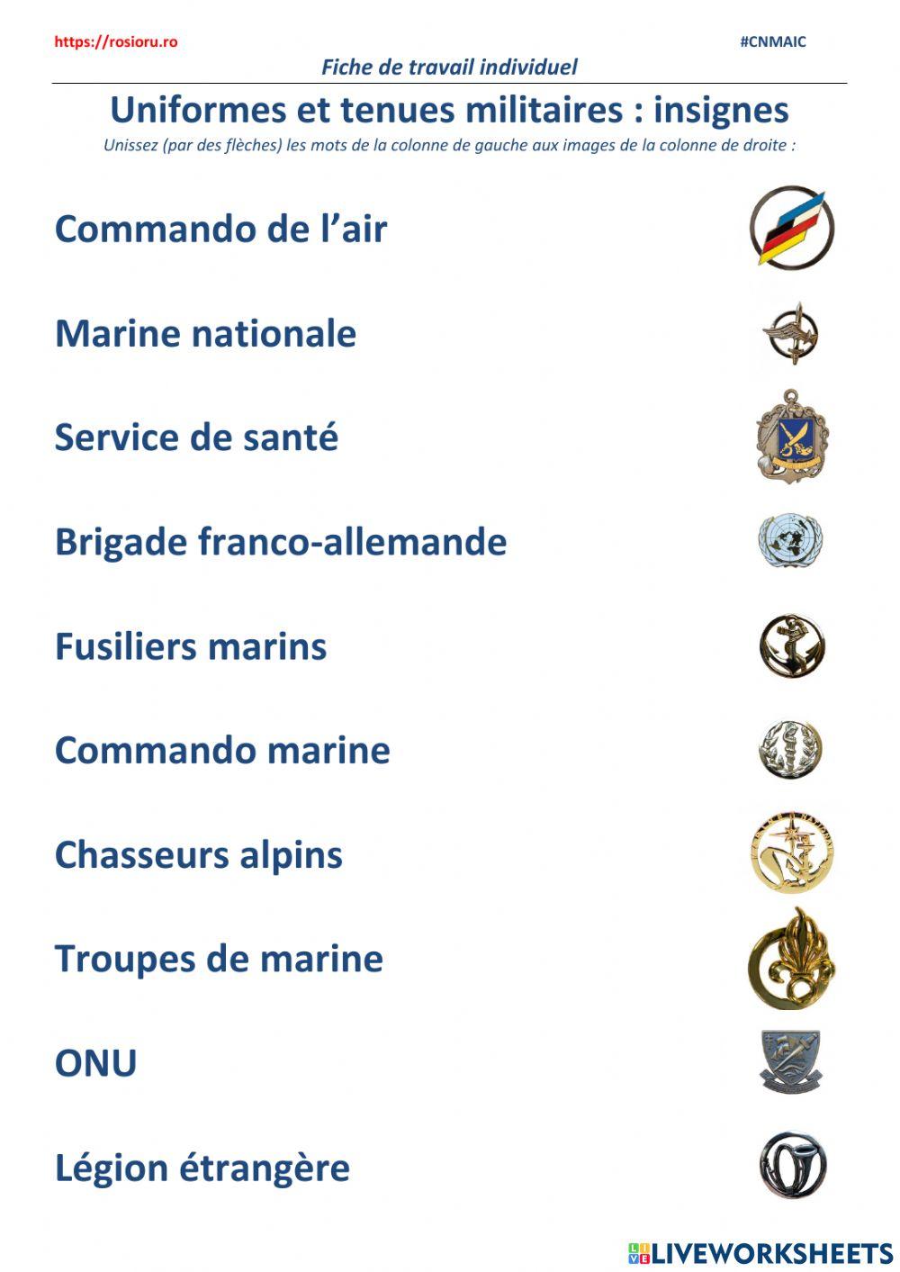 Uniformes et tenues militaires : les insignes