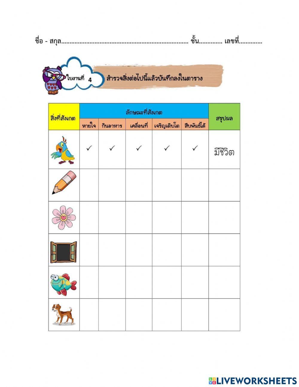 ใบงานที่ 4 การสำรวจสิ่งต่างๆรอบตัว