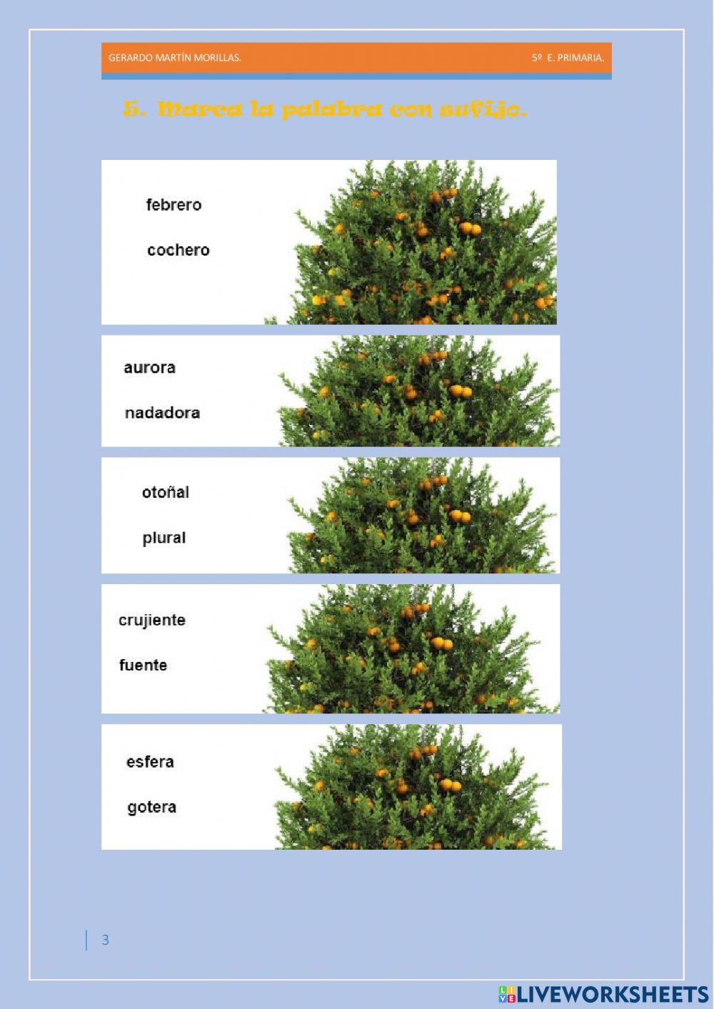 Taller de vocabulario. Ficha 7.