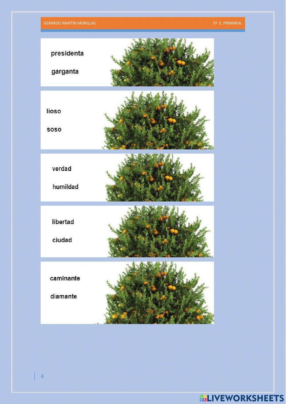 Taller de vocabulario. Ficha 7.