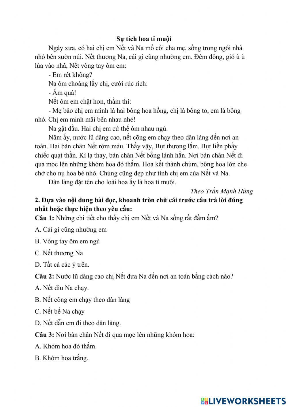 Luyện tập đọc hiểu