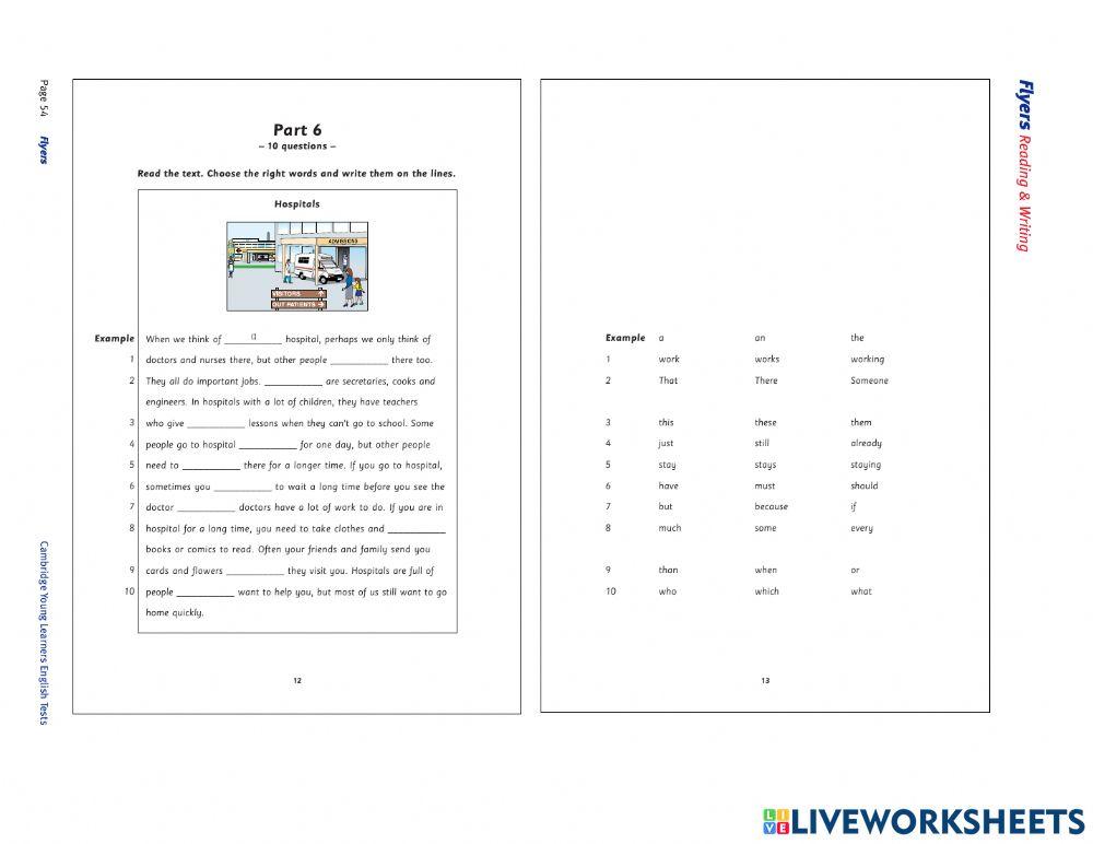 Flyers Reading and Writing VL3