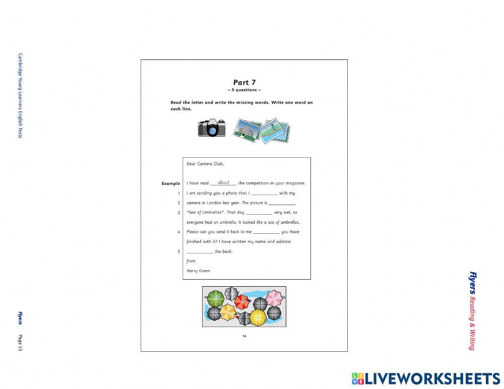 Flyers Reading and Writing VL3