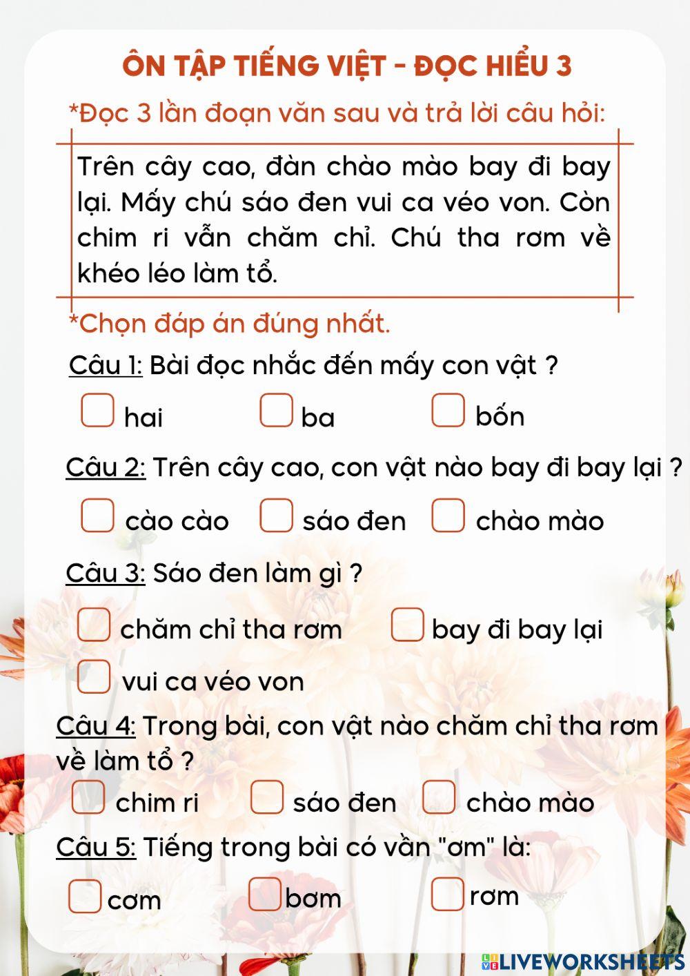 Ôn tập TV - Đọc hiểu 3
