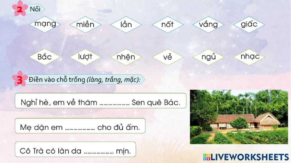 Phiếu ôn tập tuần 15