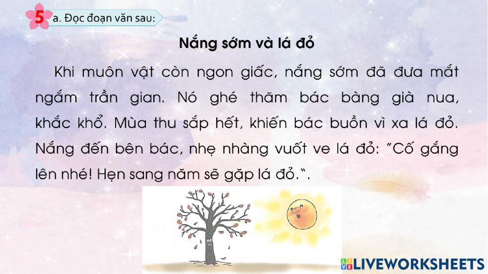 Phiếu ôn tập tuần 15