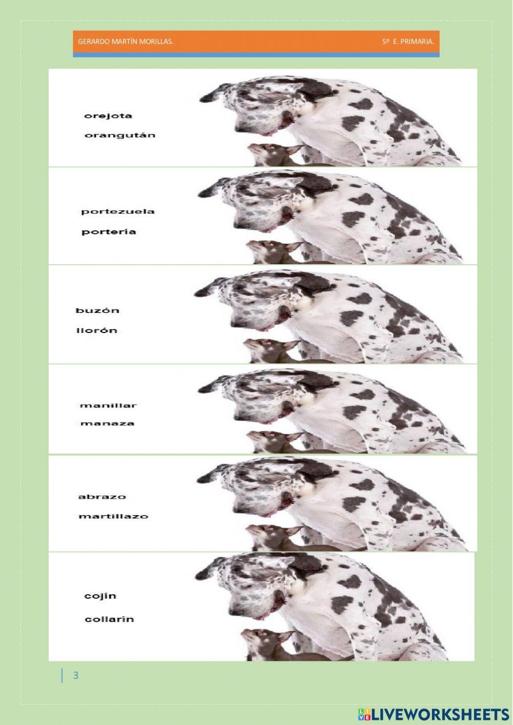 Taller de vocabulario. Ficha 8.