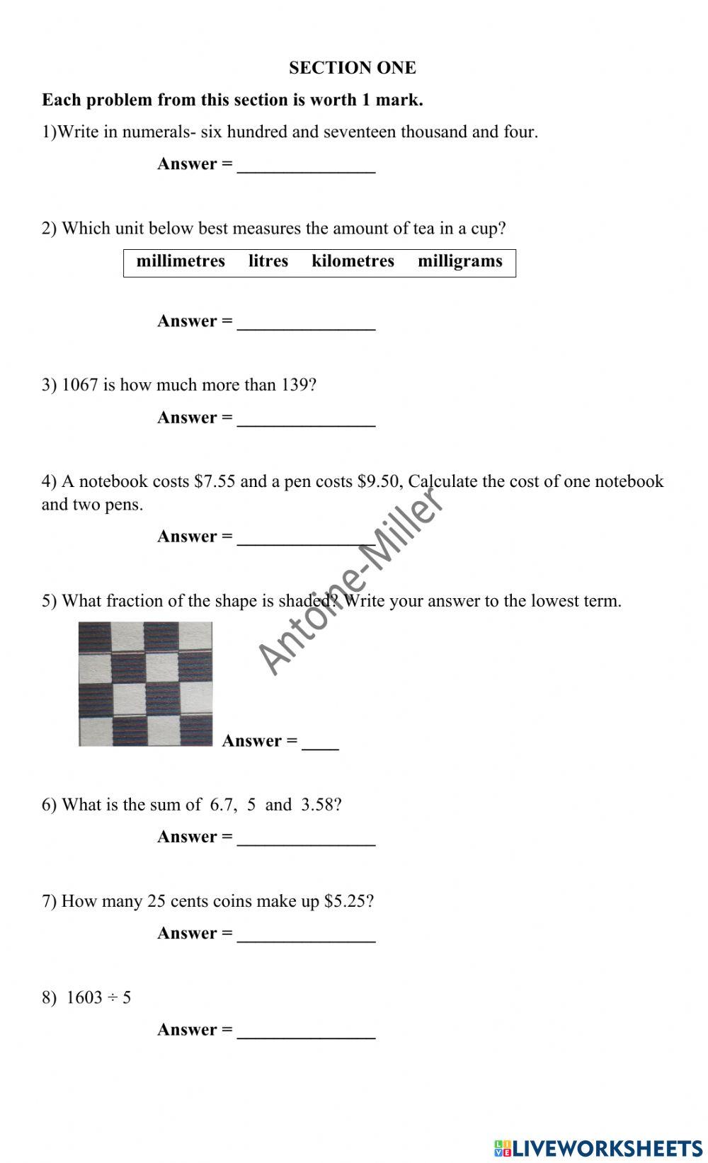 Std 5 Mathematics (long)