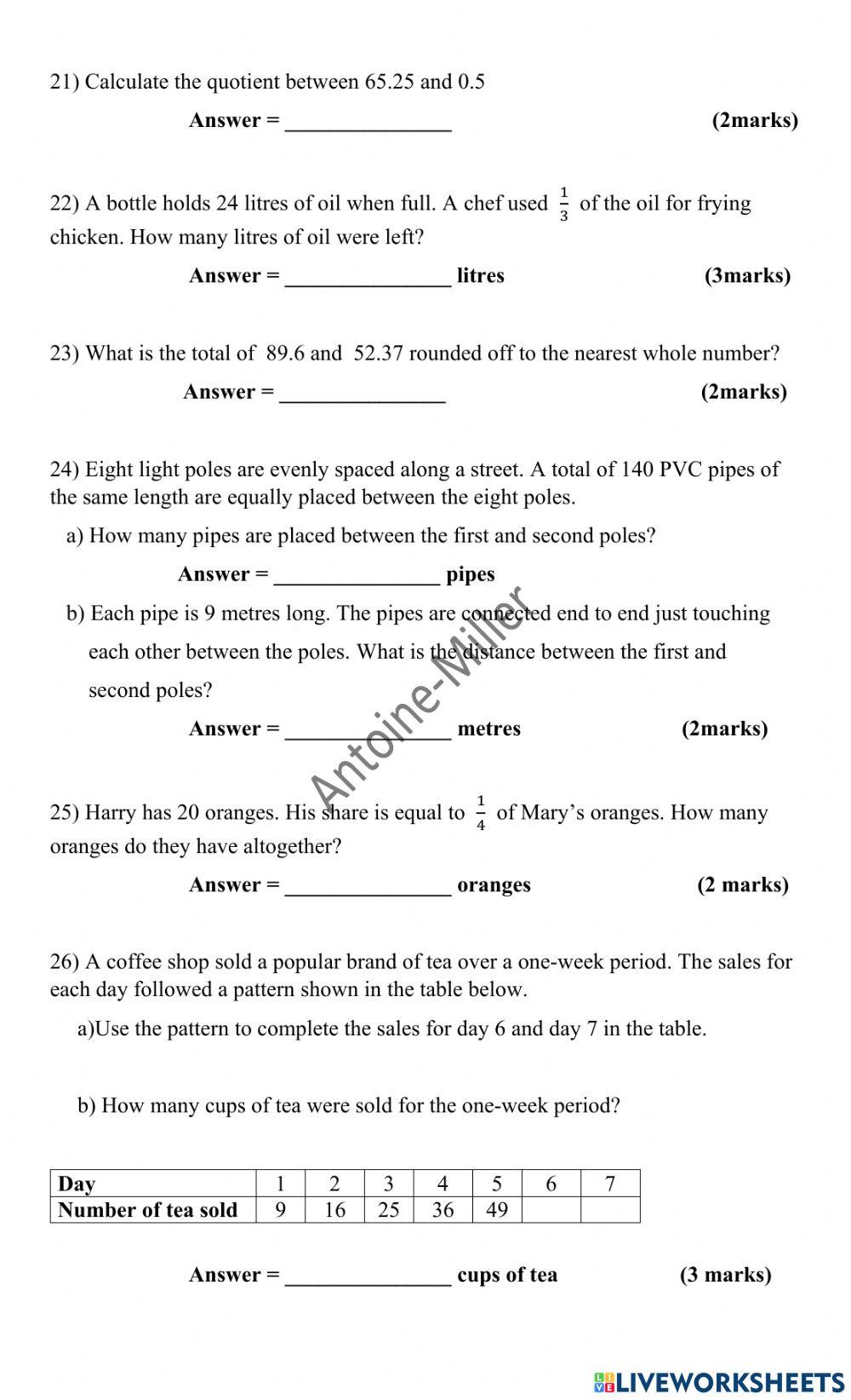 Std 5 Mathematics (long)