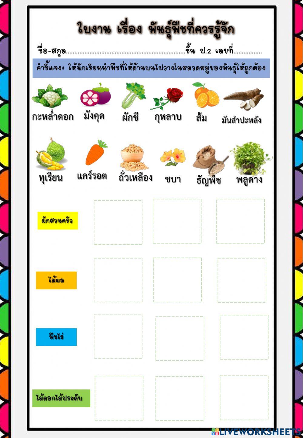 ใบงานเรื่องพันธุ์พืชที่ควรรู้จัก