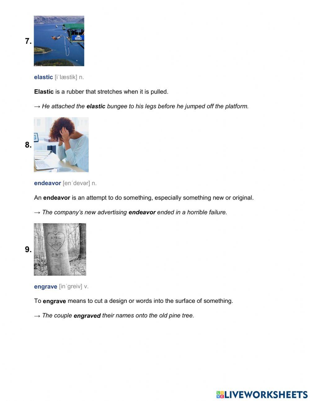 9-6-2 RC Fossils learn vocabulary