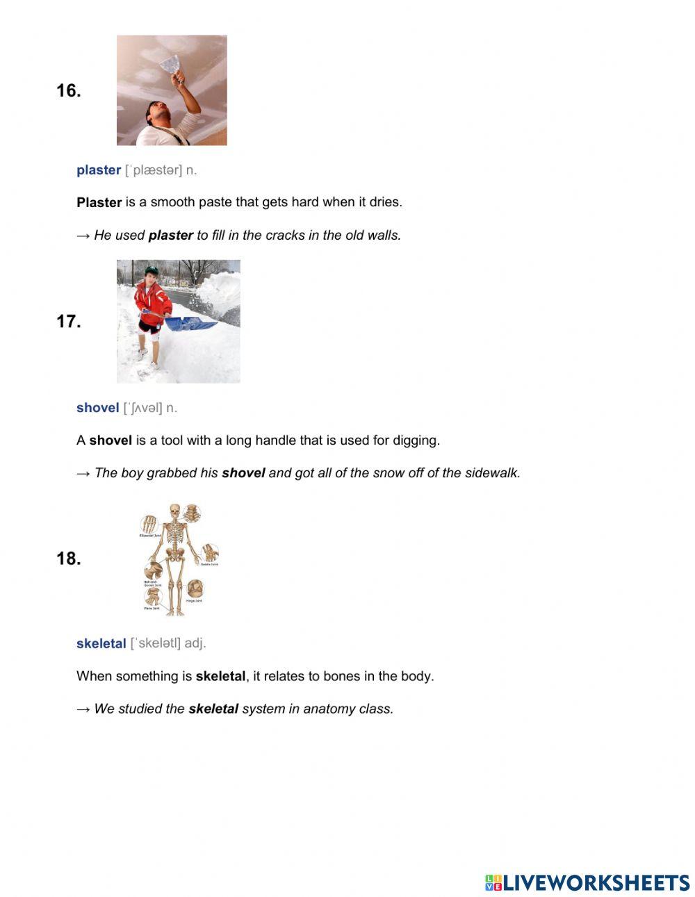 9-6-2 RC Fossils learn vocabulary