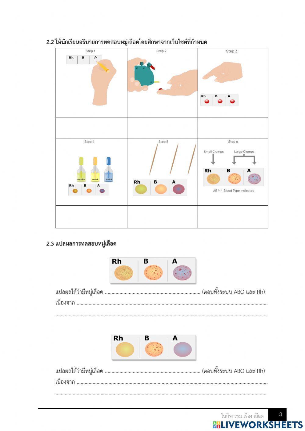 ใบกิจกรรม เลือด