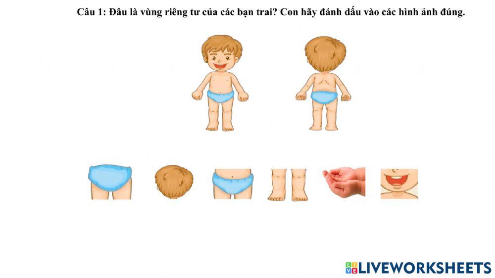 Lớp 3 - Kiểm tra