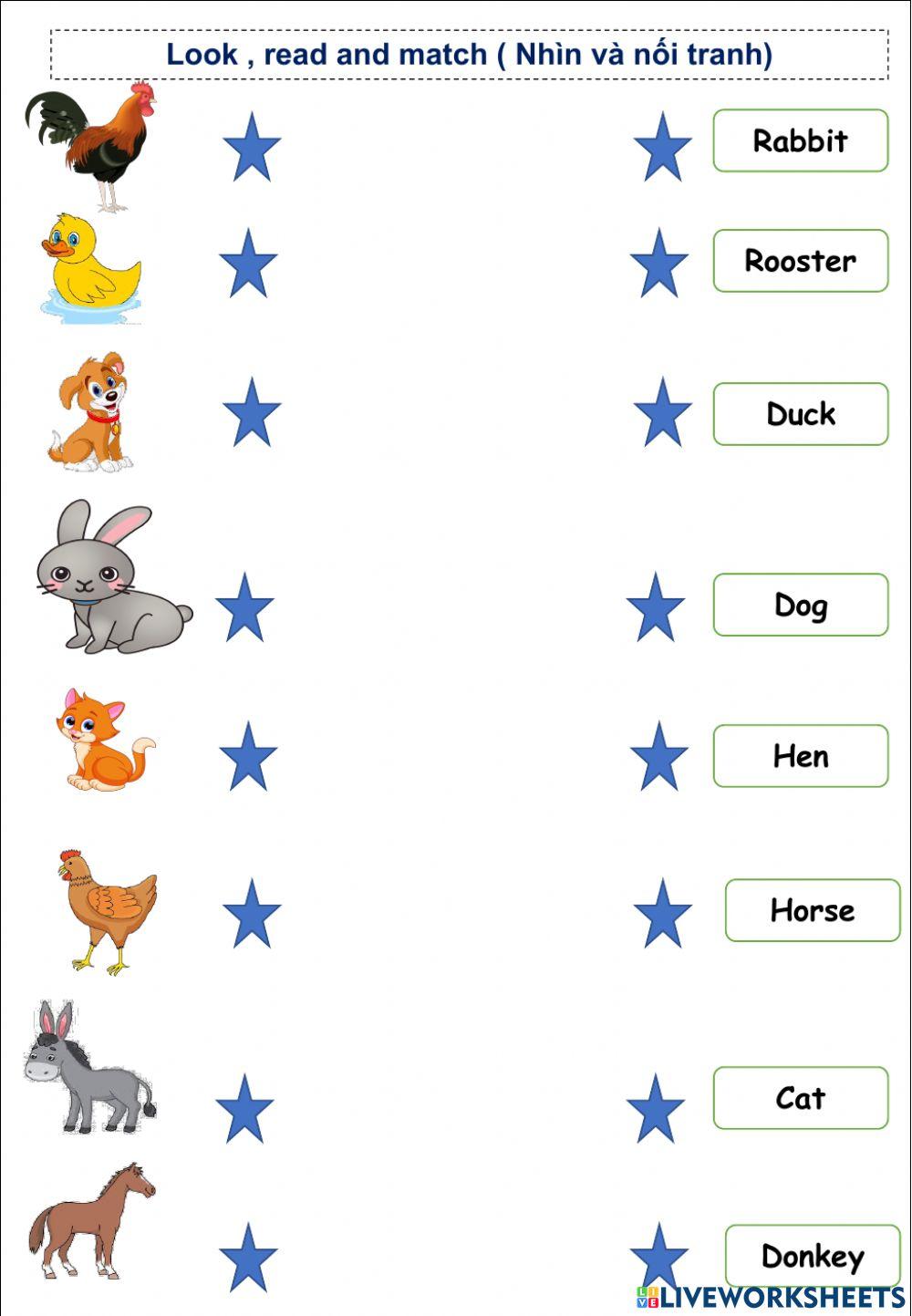 Farm animals - Review 2