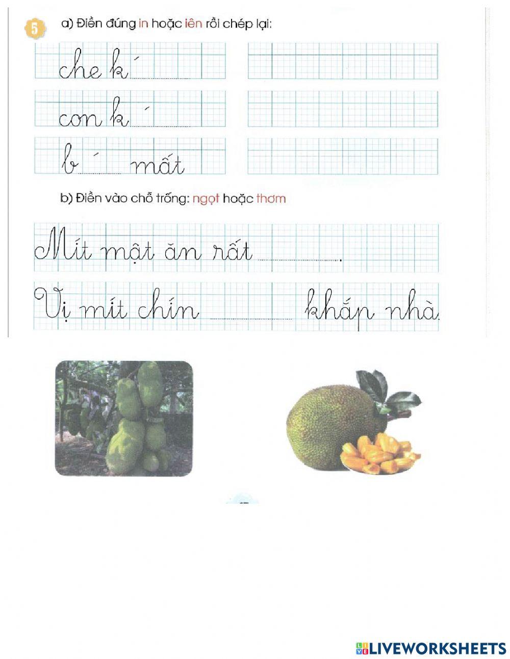 Phiếu cuối tuần 13 Tiếng Việt