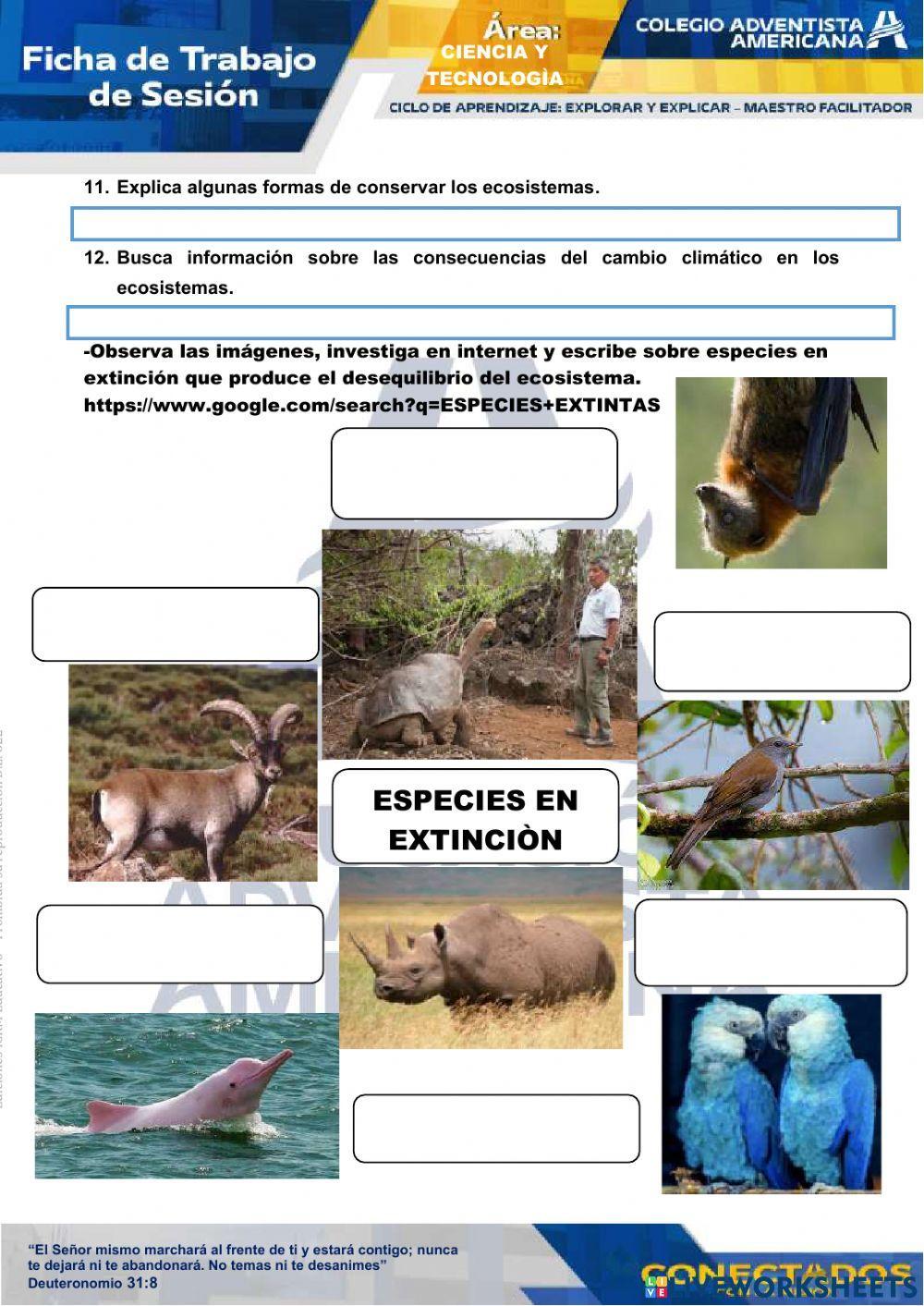 Equilibrio y desequilibrio del ecosistema