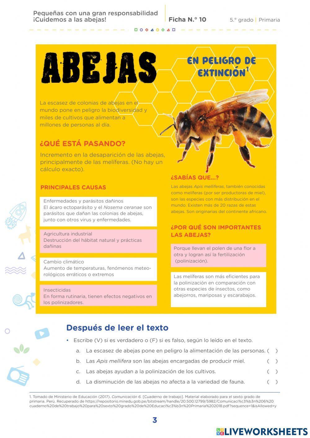 Pequeñas con una gran responsabilidad ¡Cuidemos a las abejas!