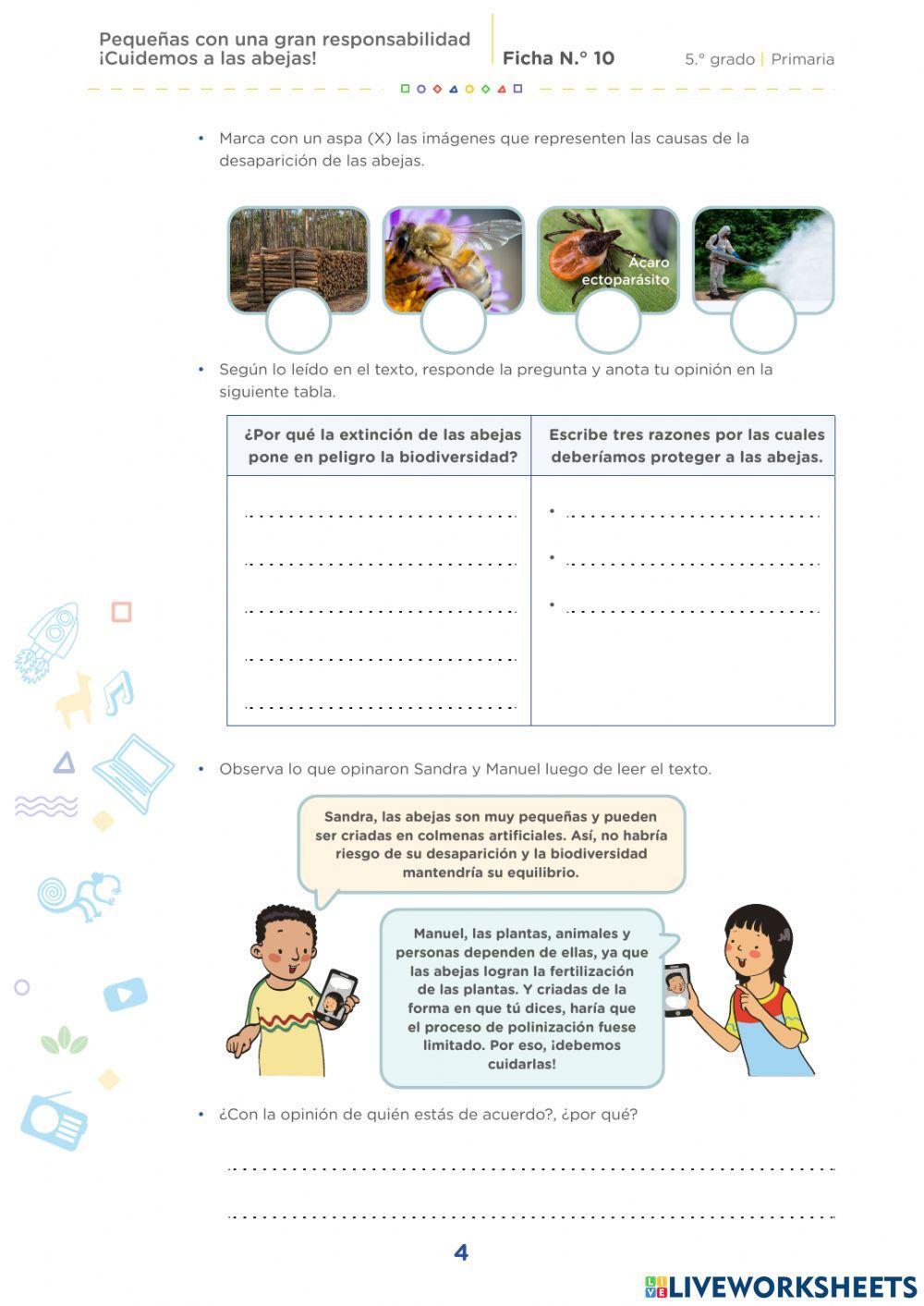 Pequeñas con una gran responsabilidad ¡Cuidemos a las abejas!