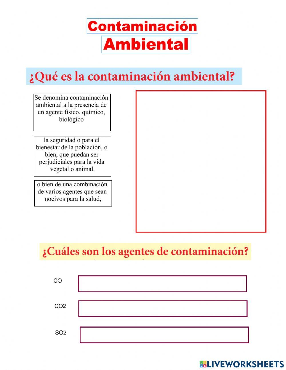 Contaminacion ambiental