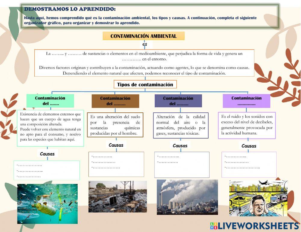 Contaminación ambiental