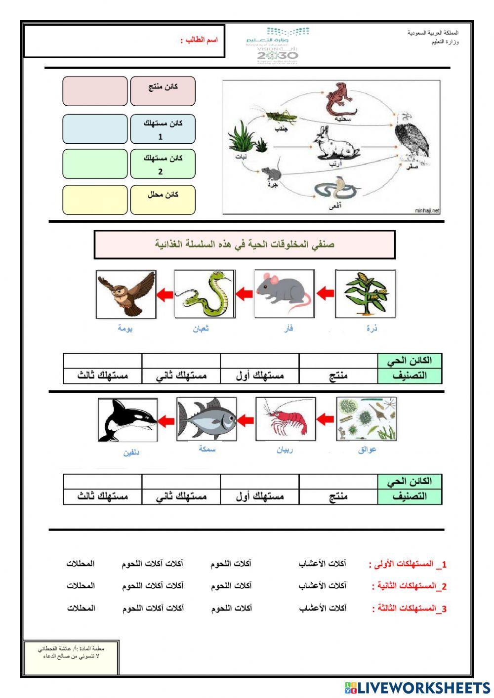 السلاسل والشبكات الغذائية-2