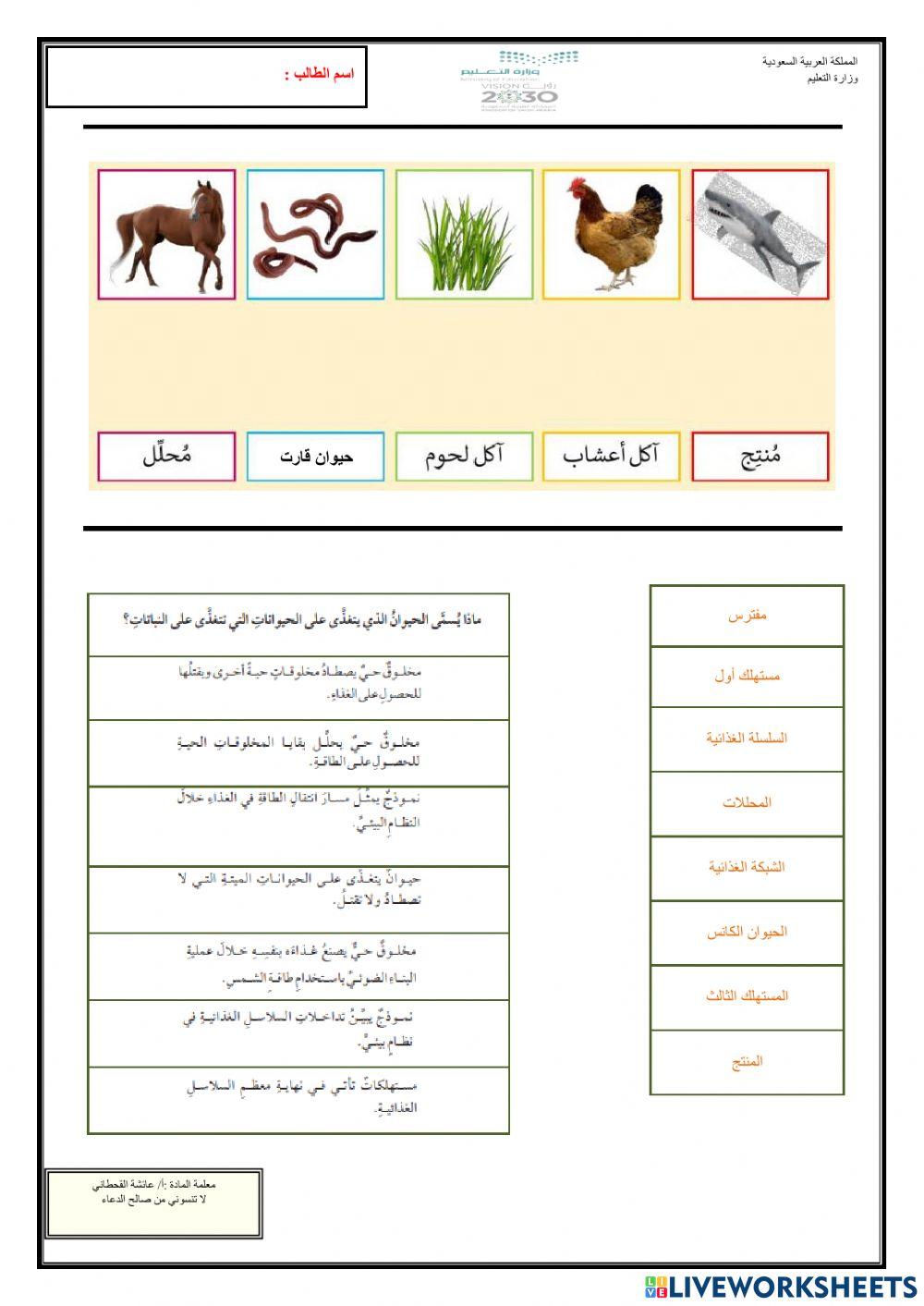 السلاسل والشبكات الغذائية-3
