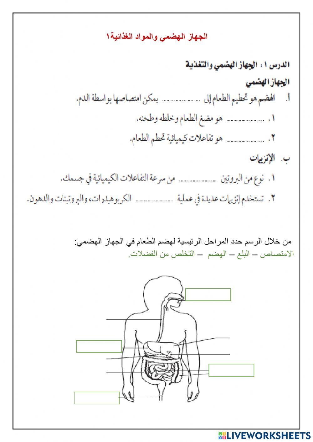 الجهاز الهضمي والمواد الغذائية1