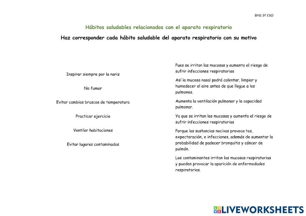 Enfermedades y hábitos saludables aparato respiratorio