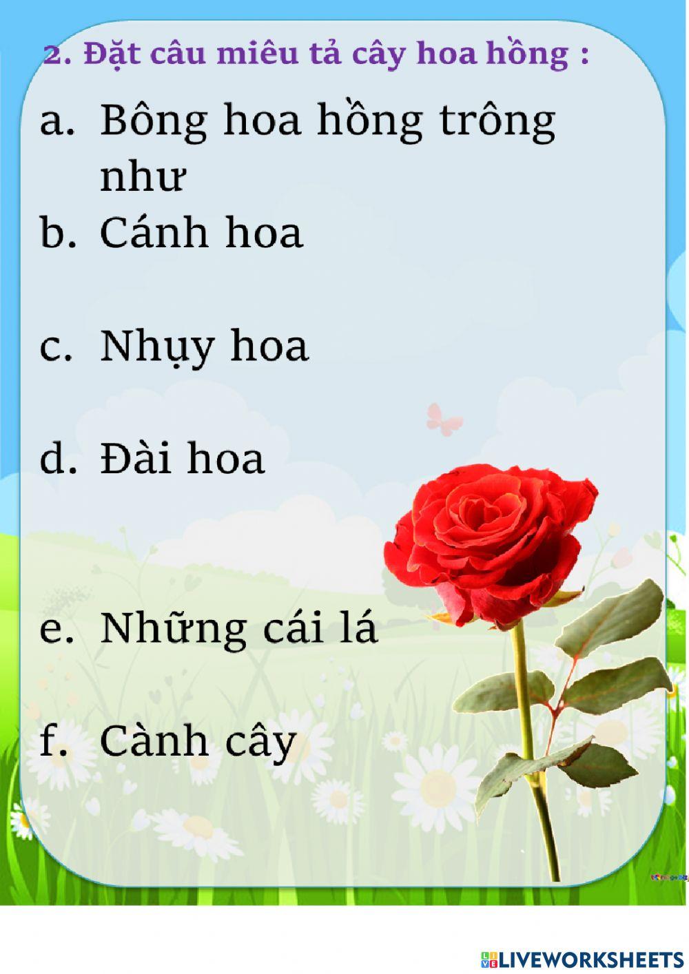 Luyện tập chủ ngữ trong câu kể ai làm gì?